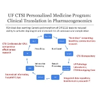 University of Florida Clinical and Translational Science Institute: Transformation and Translation in Personalized Medicine